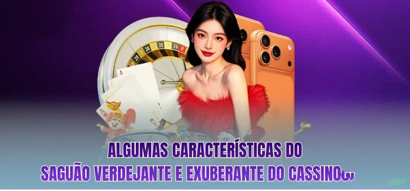 Privacidade y889